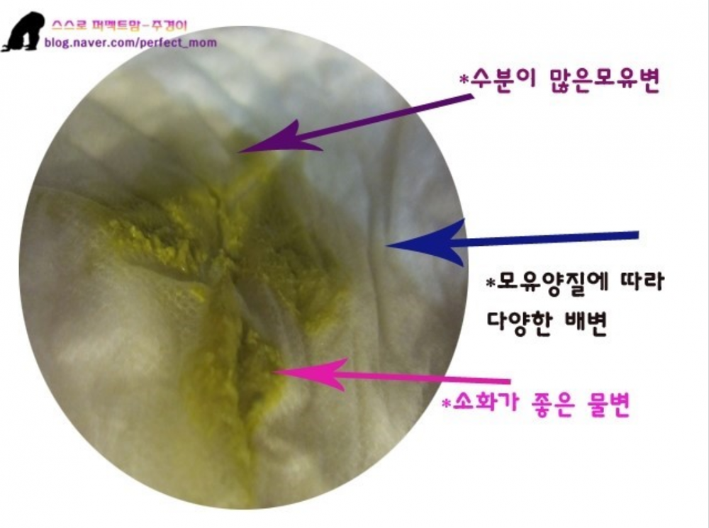 a14dcf89aebfc08d360dbfb3f06eea37_1519808951_7832.png